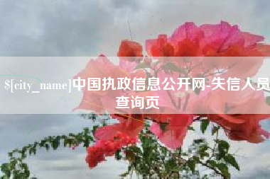 湘潭中国执政信息公开网-失信人员查询页