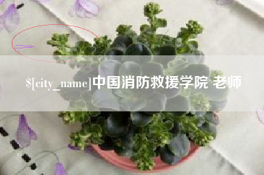 湘潭中国消防救援学院 老师