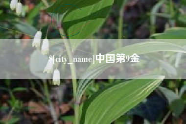 湘潭中国第9金