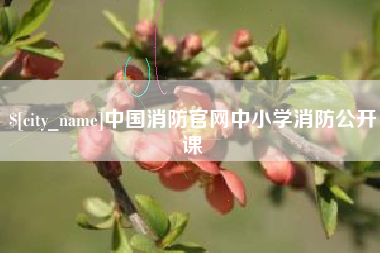 湘潭中国消防官网中小学消防公开课