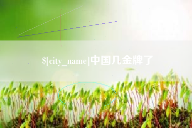 湘潭中国几金牌了