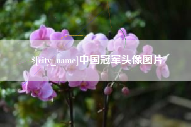 湘潭中国冠军头像图片