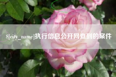 湘潭执行信息公开网查到的案件