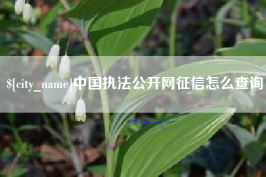 湘潭中国执法公开网征信怎么查询