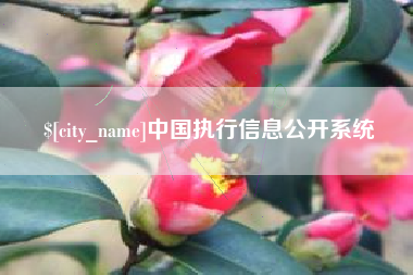 湘潭中国执行信息公开系统