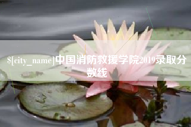 湘潭中国消防救援学院2019录取分数线