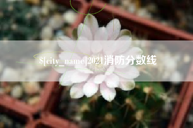 湘潭2021消防分数线