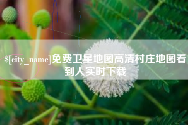 湘潭免费卫星地图高清村庄地图看到人实时下载