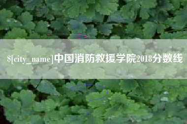 湘潭中国消防救援学院2018分数线