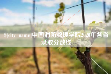湘潭中国消防救援学院2020年各省录取分数线