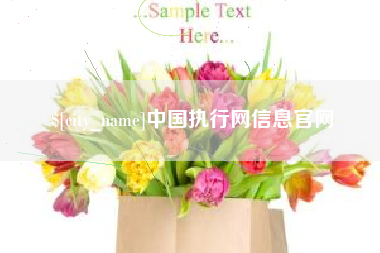 湘潭中国执行网信息官网