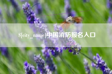 湘潭中国消防报名入口
