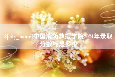 湘潭中国消防救援学院2024年录取分数线是多少