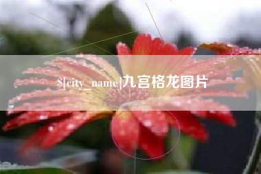 湘潭九宫格龙图片