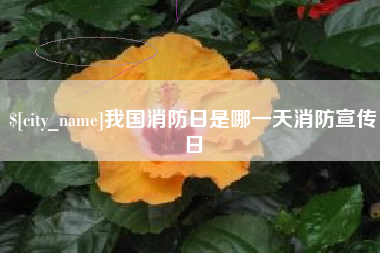 湘潭我国消防日是哪一天消防宣传日