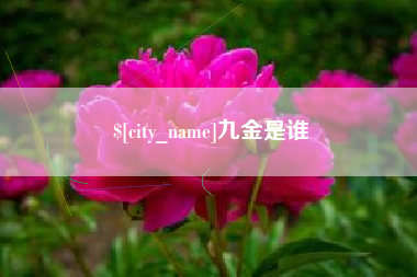 湘潭九金是谁