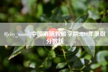 湘潭中国消防救援学院2019年录取分数线