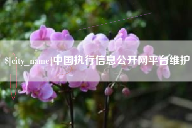 湘潭中国执行信息公开网平台维护