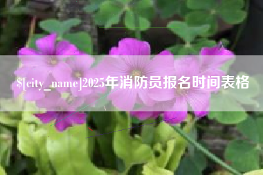 湘潭2025年消防员报名时间表格