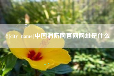 湘潭中国消防网官网网址是什么