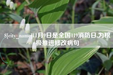 湘潭11月9日是全国119消防日,为积极推进修改病句