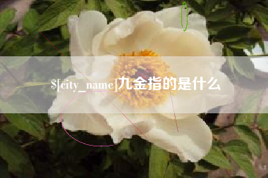 湘潭九金指的是什么