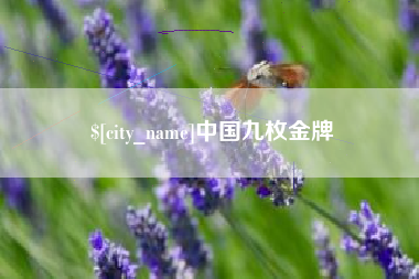 湘潭中国九枚金牌