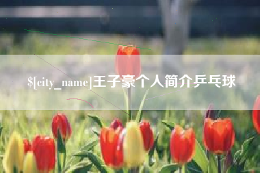 湘潭王子豪个人简介乒乓球