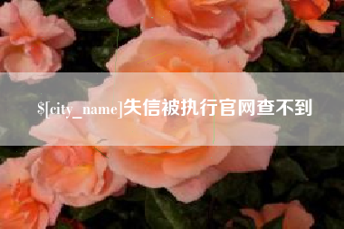 湘潭失信被执行官网查不到