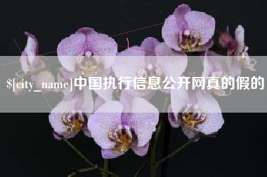 湘潭中国执行信息公开网真的假的