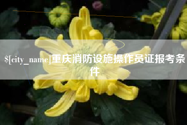 湘潭重庆消防设施操作员证报考条件