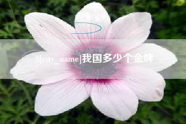 湘潭我国多少个金牌