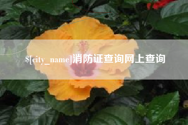 湘潭消防证查询网上查询