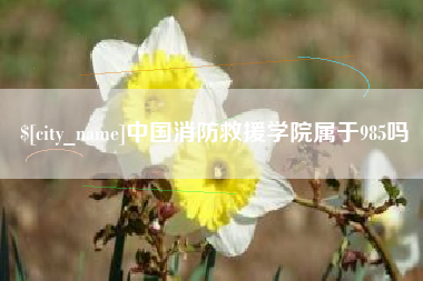 湘潭中国消防救援学院属于985吗