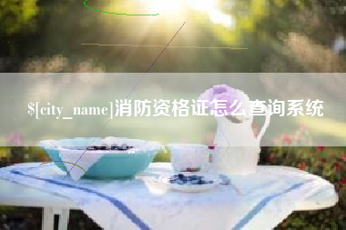 湘潭消防资格证怎么查询系统