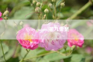 湘潭第九金是