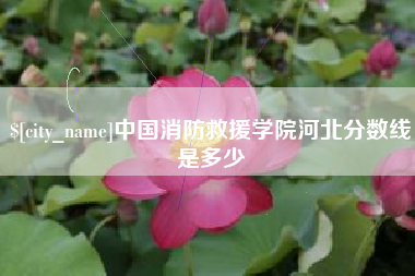 湘潭中国消防救援学院河北分数线是多少
