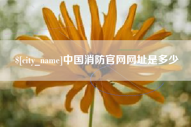 湘潭中国消防官网网址是多少