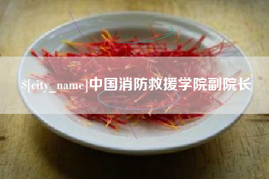 湘潭中国消防救援学院副院长