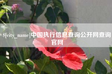 湘潭中国执行信息查询公开网查询官网