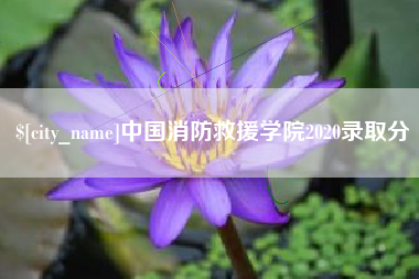 湘潭中国消防救援学院2020录取分