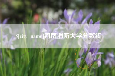 湘潭河南消防大学分数线