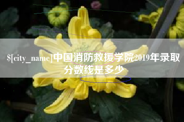 湘潭中国消防救援学院2019年录取分数线是多少