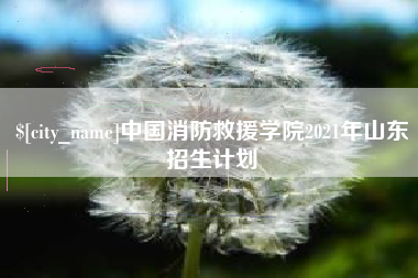 湘潭中国消防救援学院2021年山东招生计划