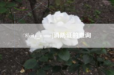 湘潭消防证的查询