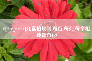 湘潭九宫格规则,每行,每列,每个粗线都有1-9