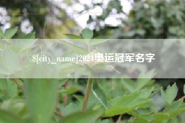 湘潭2024奥运冠军名字