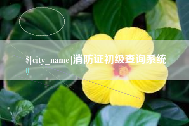 湘潭消防证初级查询系统
