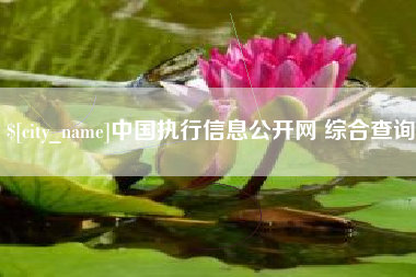 湘潭中国执行信息公开网 综合查询