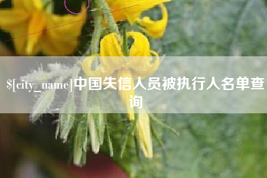 湘潭中国失信人员被执行人名单查询